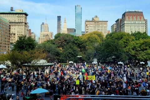 New York City (Linda Loew)