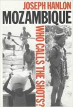La nouvelle guerre civile : " Le pire scénario serait que le Mozambique devienne un nouvel Afghanistan »